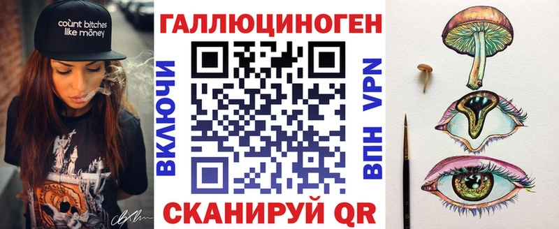 Купить где  Фокино  Псилоцибиновые грибы GOLDEN TEACHER 